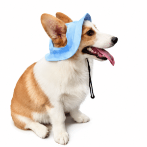 Bob pour Chien Bleu