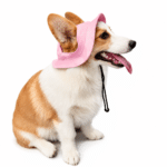 Bob pour Chien Rose