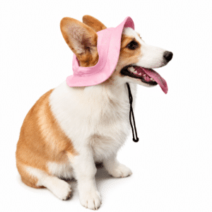 Bob pour Chien Rose